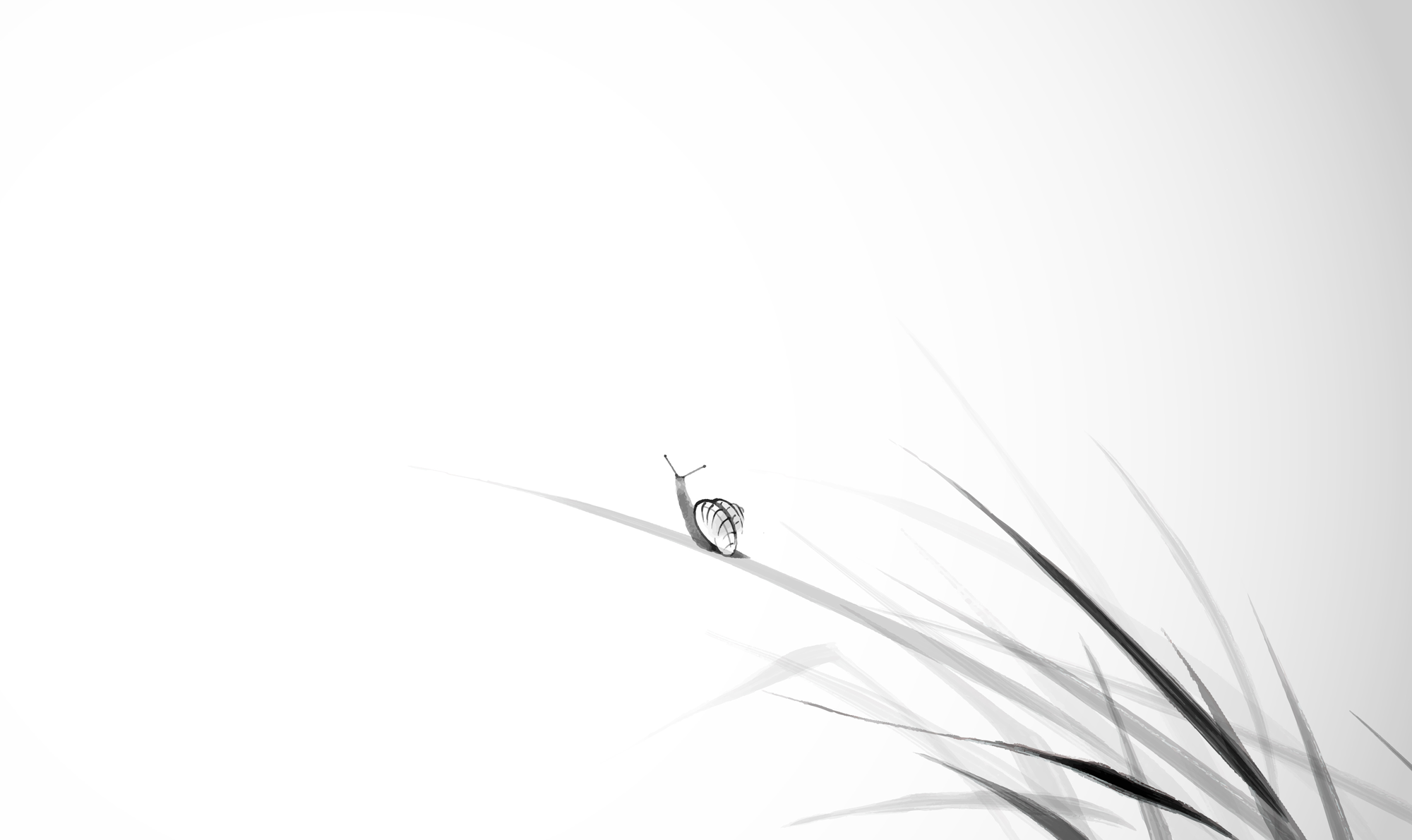 About us page snail｜caraco｜v2