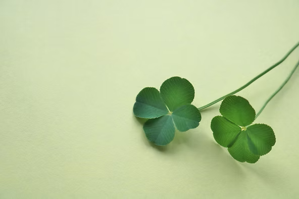 How Japanese Calligraphy Scientifically Shapes Your Mindset for Success　v2