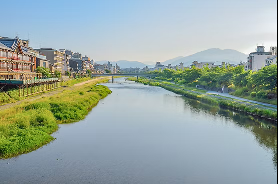 Mindful Japanese Calligraphy Retreats in Kyoto’s Temples