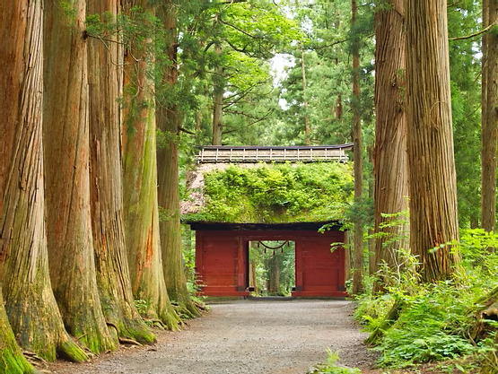 Rural Japanese Calligraphy – Tradition and Nature in Harmony