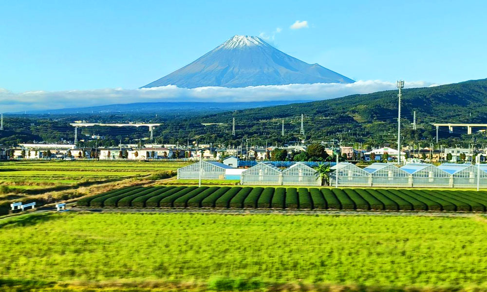 Japanese Calligraphy in November — Live Events to Experience Real Brushwork in Japan (Nov 2–29, 2025)